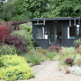 open gardens, garden centre and tea room in Colchester and Essex