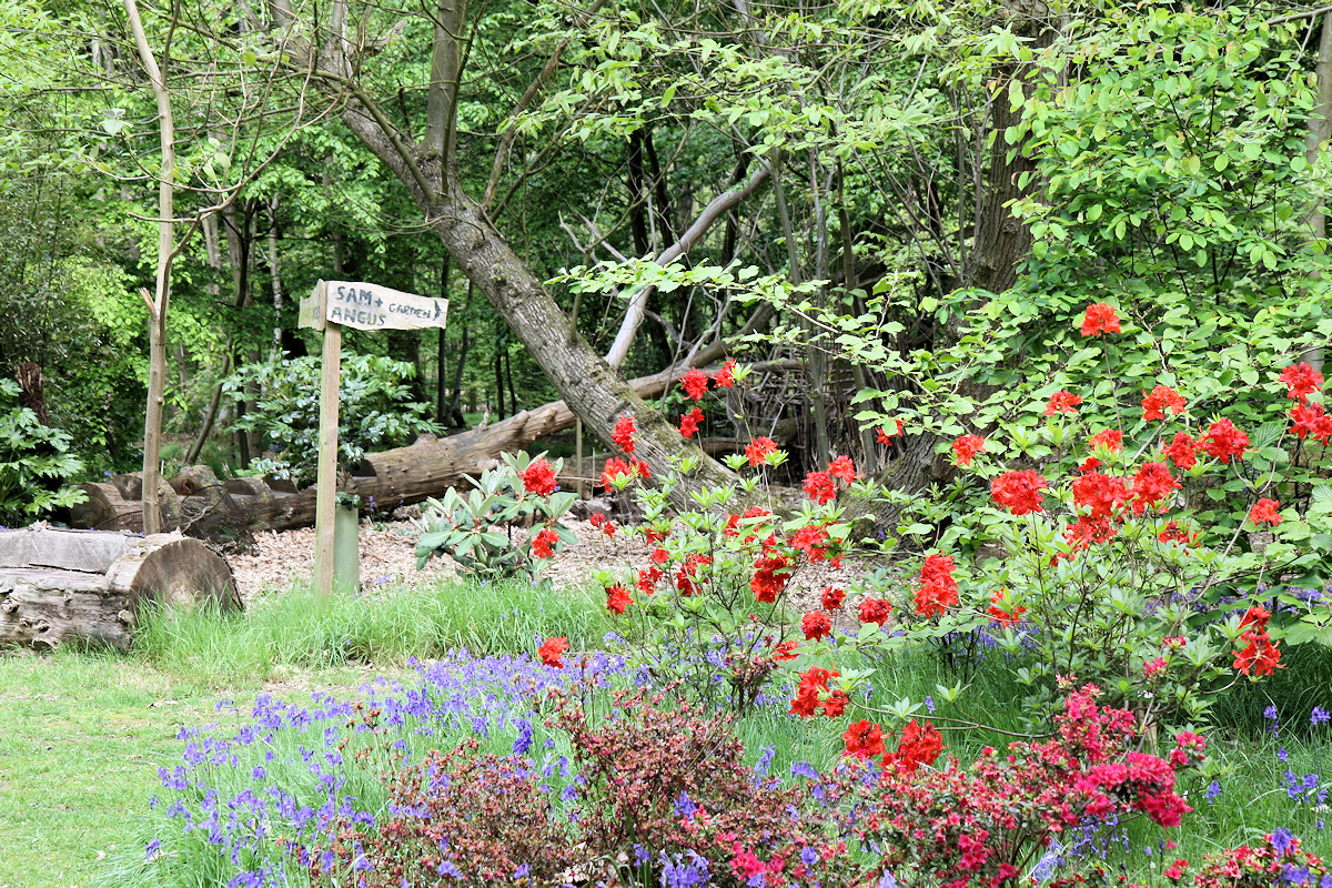 open gardens, garden centre, plant nursery, tea room in Colchester and Essex