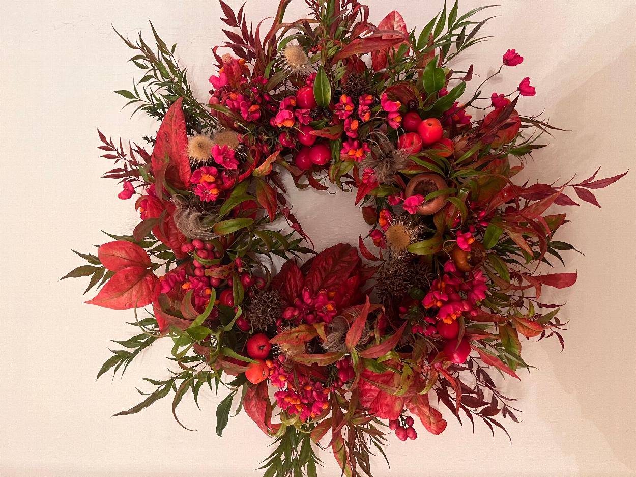 open gardens, garden centre, plant nursery, tearoom in Colchester and Essex