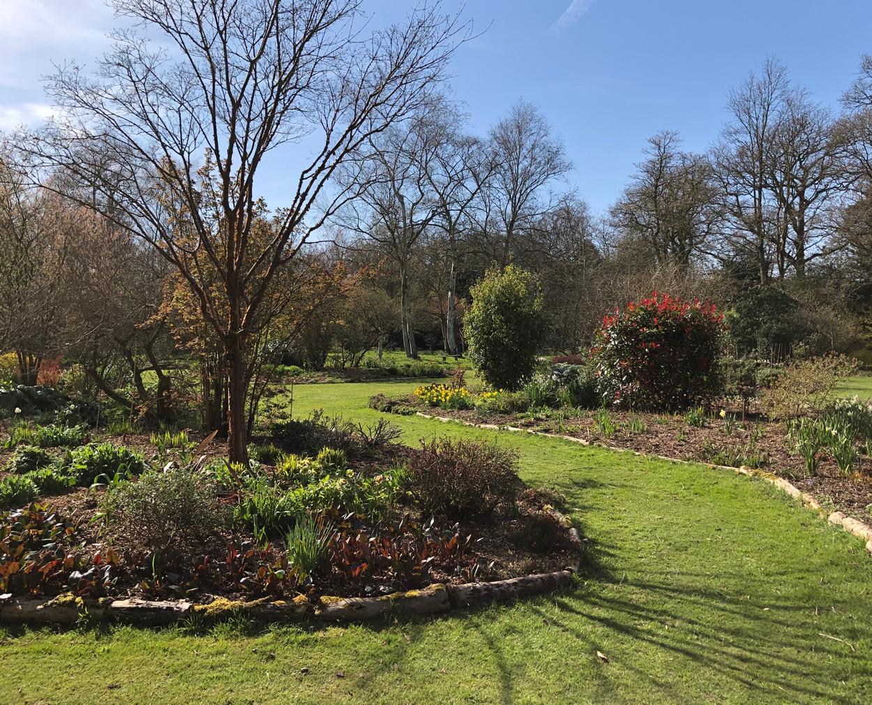 open gardens, garden centre, plant nursery, tearoom in Colchester and Essex