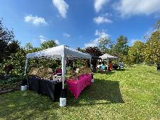 Summer Fayre 2026 - Green Island Gardens