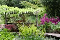 open gardens, garden centre, plant nursey, tea room in Colchester and Essex